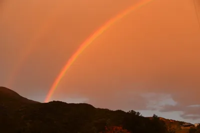 DSC_6060 (Large).JPG